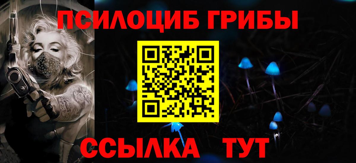 Зеленогорск  Псилоцибиновые грибы MAGIC MUSHROOMS  Галлюциногенные грибы ЛСД  Вход с VPN 