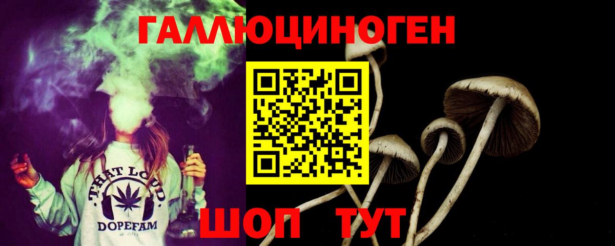 Галлюциногенные грибы Psilocybine cubensis Зеленогорск